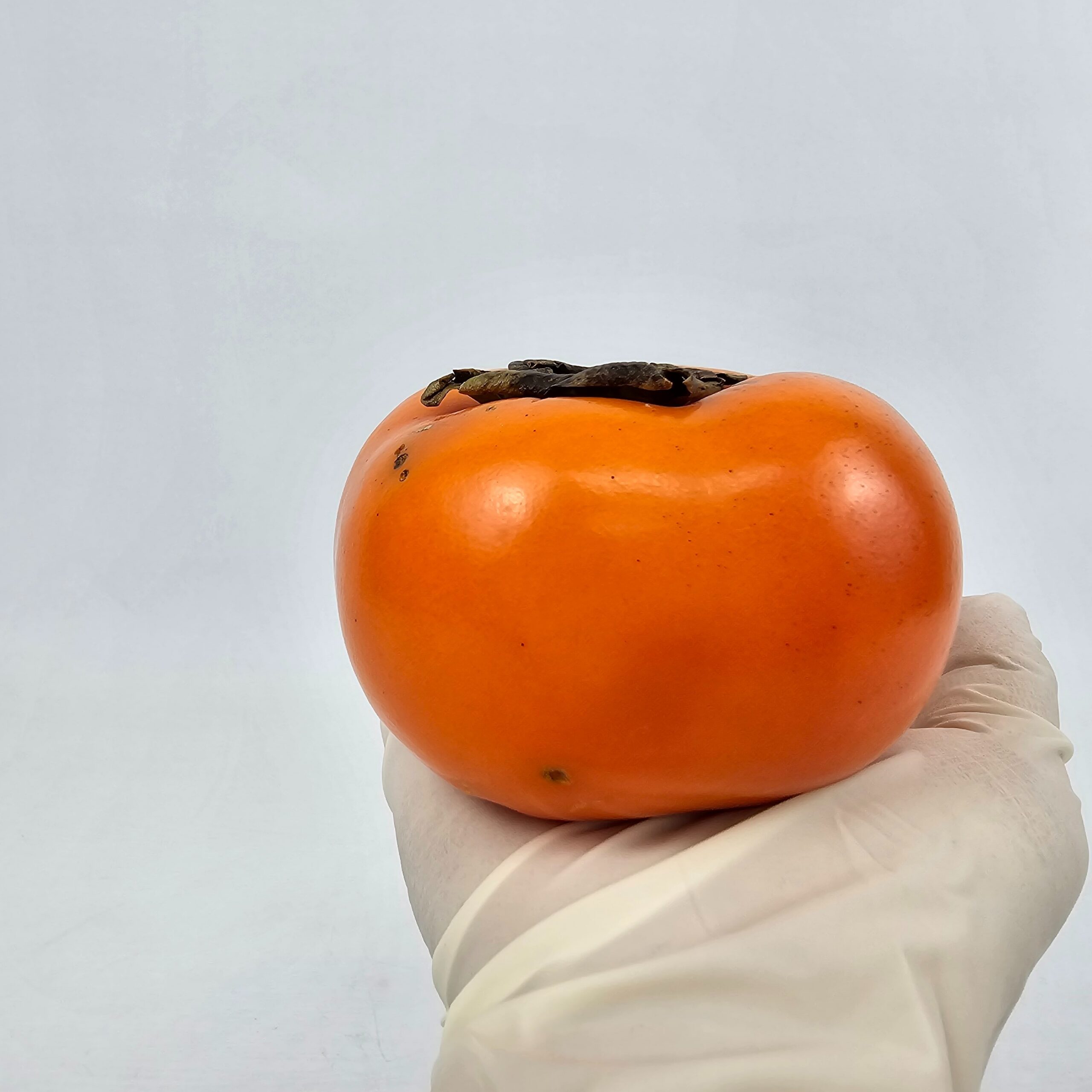 씨없는 청도 반시 5kg 한 박스로 온 가족 가을 간식 든든하게 챙겨보았어요 4