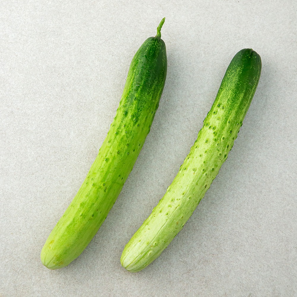 국내산 백오이, 2,290원 가격과 함께 확인할 구매 기준은?