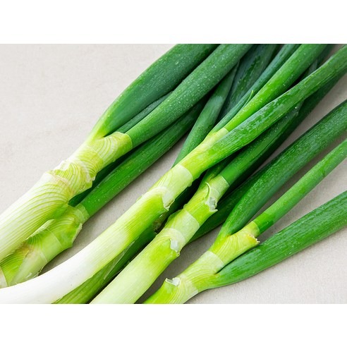 흙대파 2,690원, 저는 중량과 배송비부터 비교합니다 2