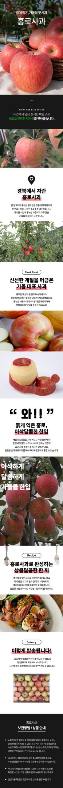 꿀BRIX 못난이 홍로사과 5kg 한 박스 쟁여두고 식비 아끼는 실속 꿀팁 4