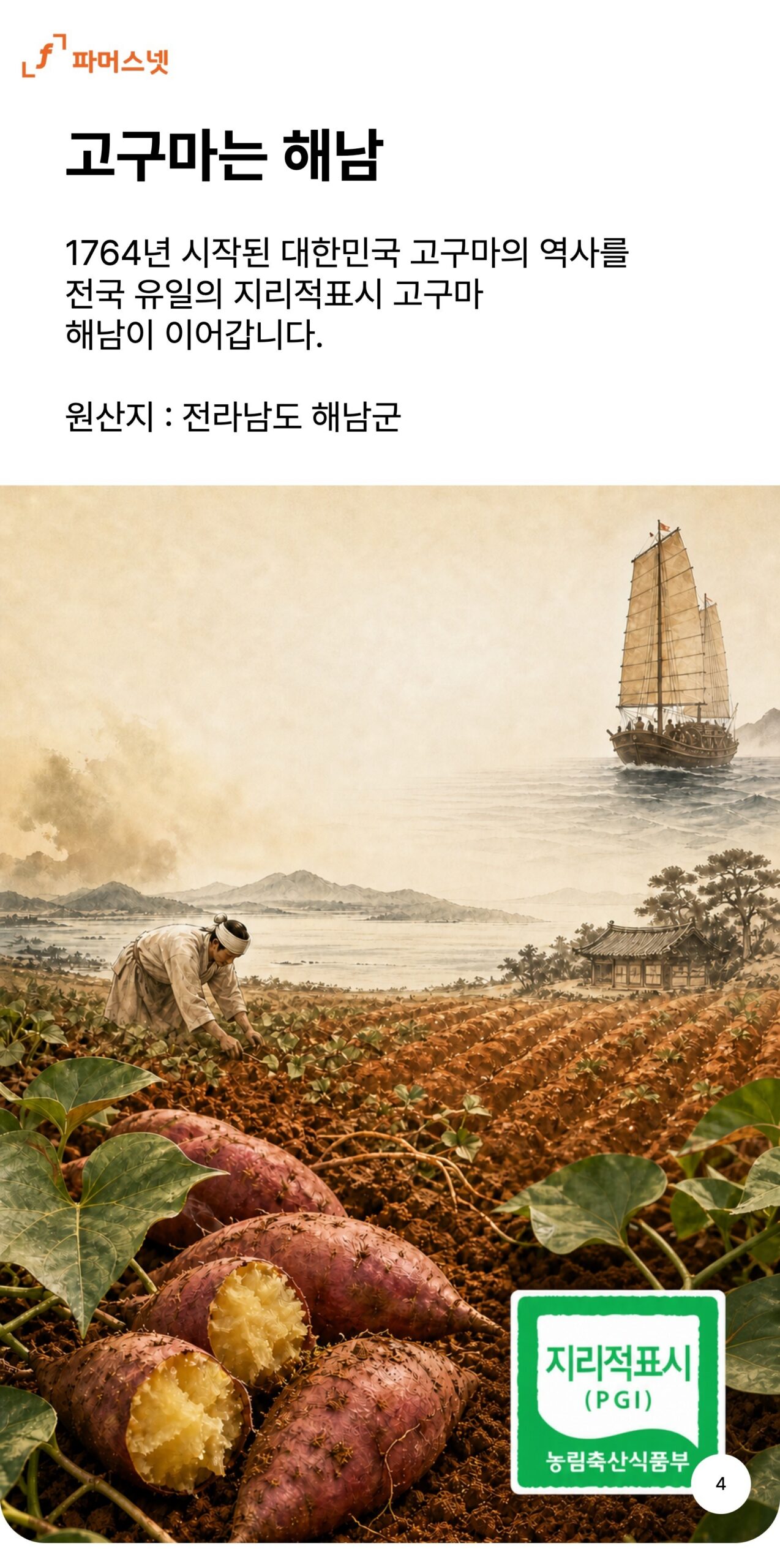 파머스넷 해남 햇 밤고구마 5kg 알뜰하게 고르는 기준 5