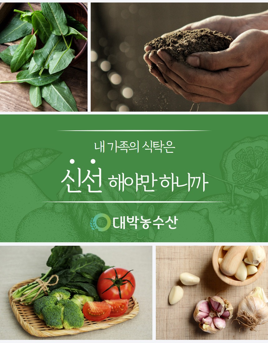 대박농수산 제주 햇 브로콜리 특품 1kg 1박스 솔직 비교 및 스펙 점검 4
