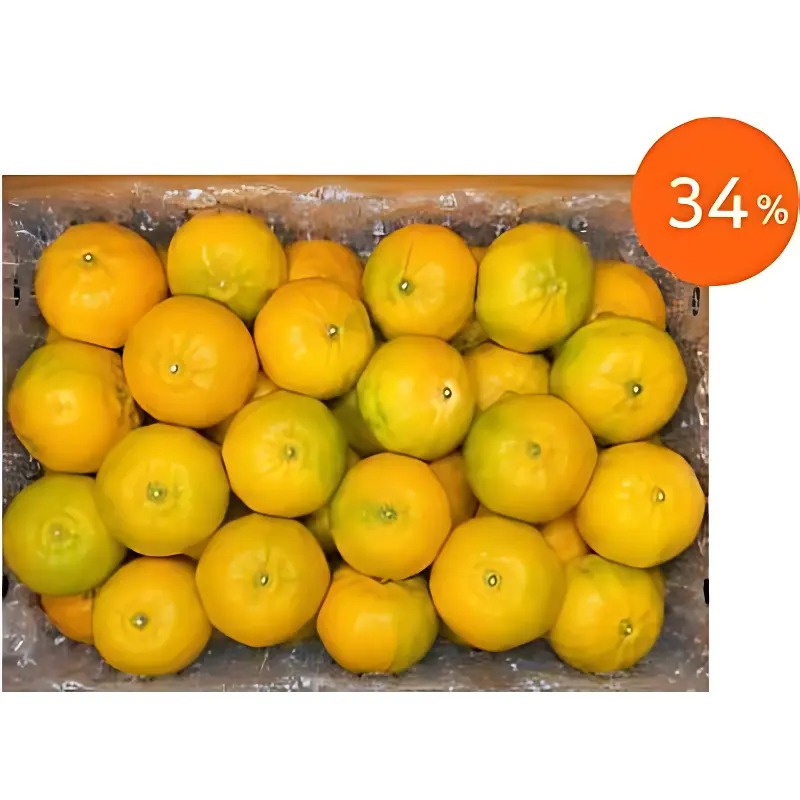 제주 감귤 5kg 중과 특품 박스를 직접 살펴보고 확인한 핵심 정보 2