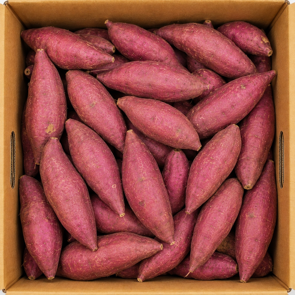 호박고구마 호풍미 한입 크기 5kg 박스 직접 먹어보고 정리한 초보자 가이드