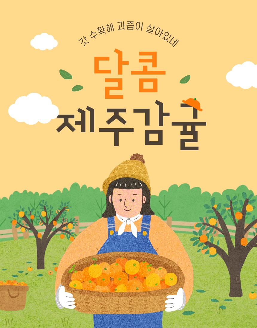 제주 서귀포 감귤 소과 10kg, 한 박스 구매 전 확인할 기준 2