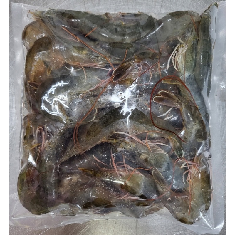 통영 횟감 활새우 1kg 주문 전 실패 줄이는 체크 포인트 4