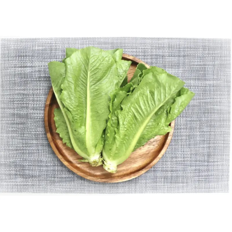 국내산 로메인상추 2kg 1박스 8천원대 구성 실중량과 신선도 분석 4