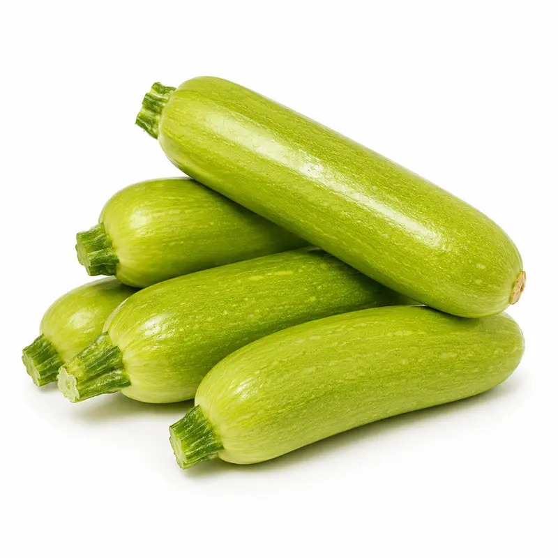 하루농가 애호박 식비 부담을 줄여주는 규격과 보관 기준을 살펴봅니다 2