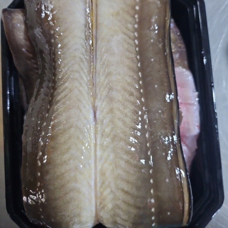 통영 바다 장어 3kg, 가족 몸보신으로 이만한 게 없네요! 솔직 후기 2