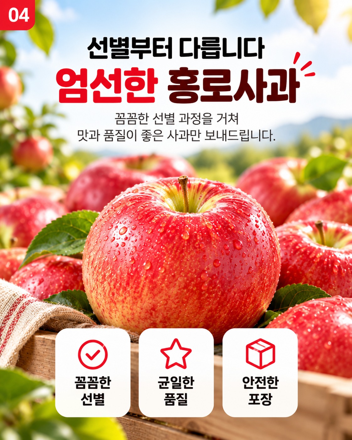 경북 햇 홍로사과 소과 2kg 한 박스, 처음 사보는 분을 위해 꼼꼼하게 정리해 드려요 5