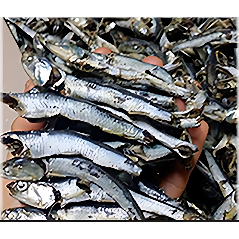 어가찬 국내산 햇 다시멸치 1.5kg 이 가격이면 무조건 장바구니 직행이죠 2