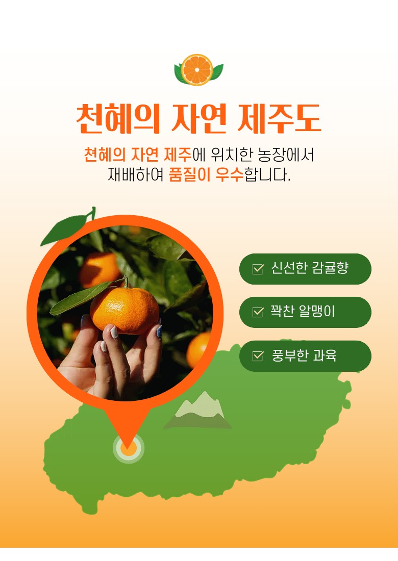제주 서귀포 감귤 소과 10kg, 한 박스 구매 전 확인할 기준 5