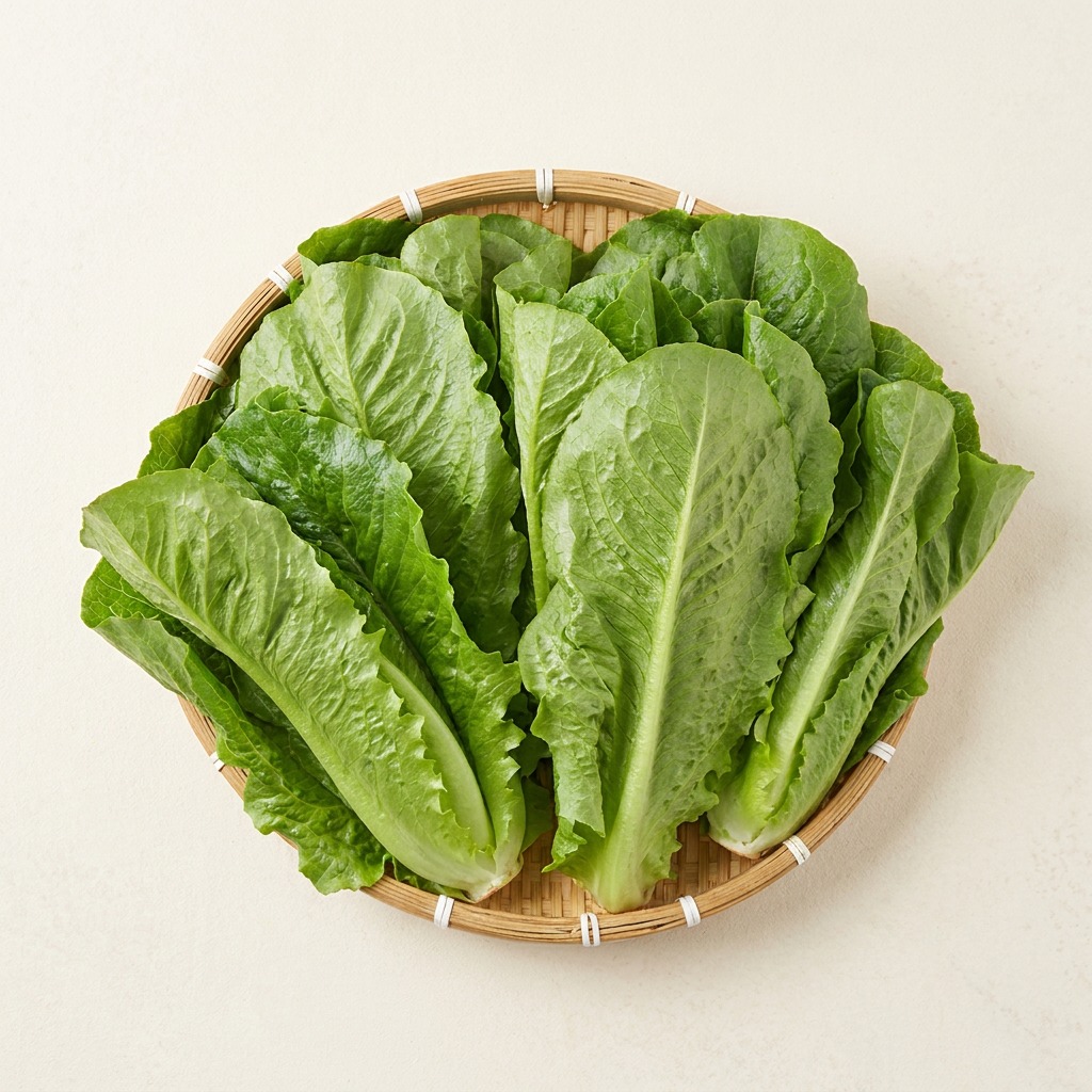 국내산 로메인상추 2kg 1박스 8천원대 구성 실중량과 신선도 분석