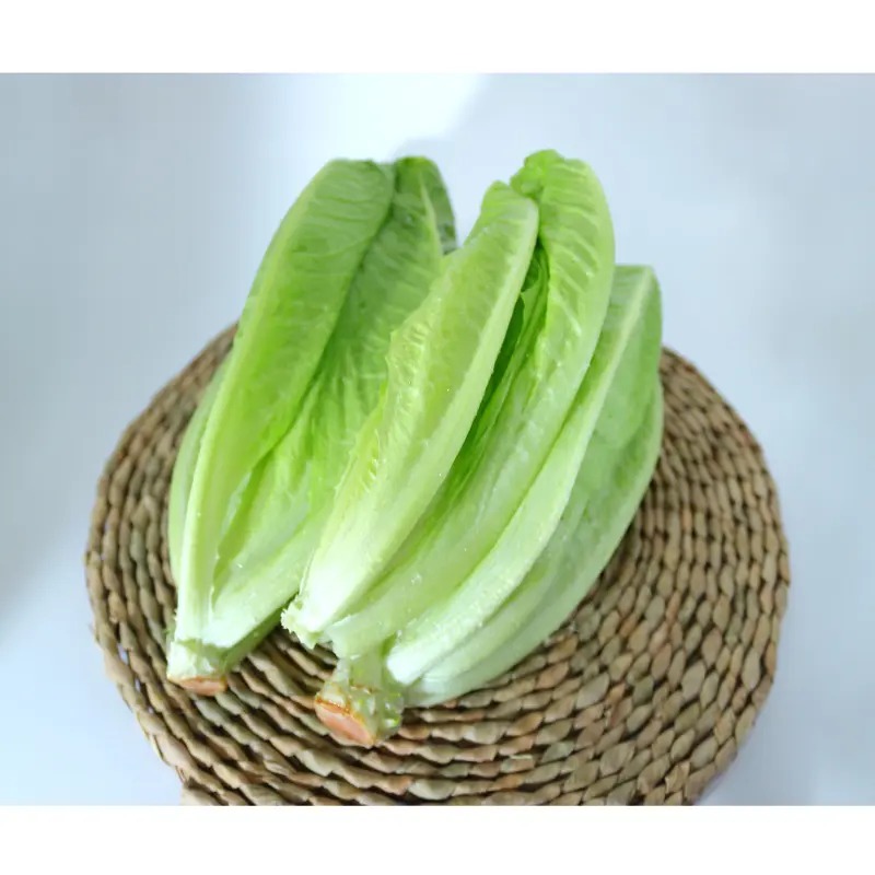 국내산 로메인상추 2kg 1박스 8천원대 구성 실중량과 신선도 분석 5
