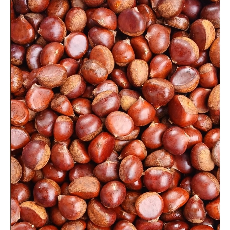 햇밤 5kg 1박스 21,400원, 가성비 스펙과 보관 요건 비교 분석 2