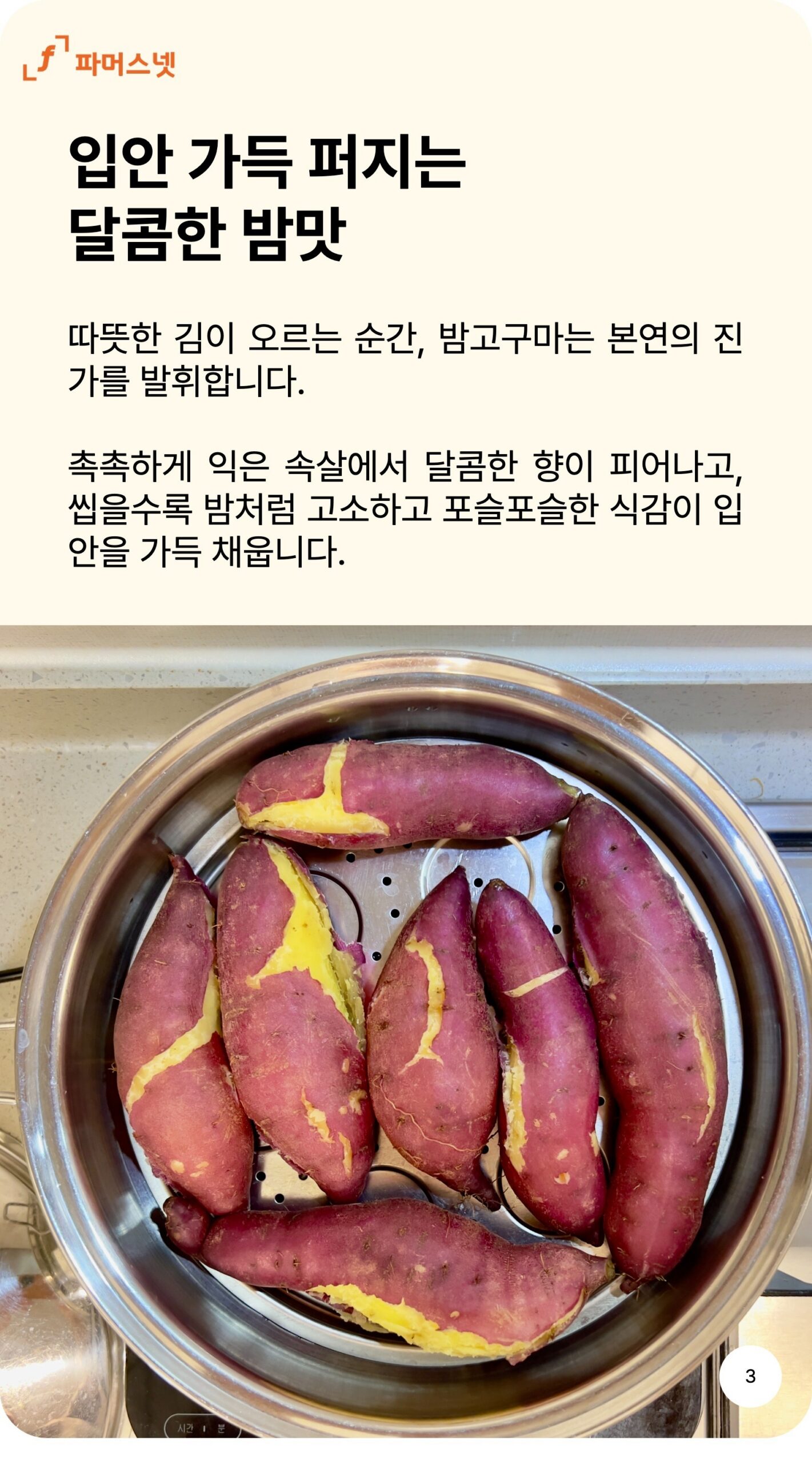 파머스넷 해남 햇 밤고구마 5kg 알뜰하게 고르는 기준 4