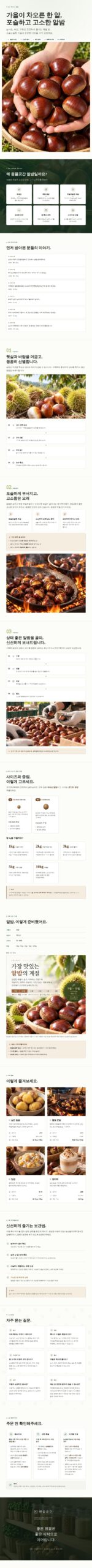 원물곳간 국내산 햇밤 알밤 대, 3kg 중량 대비 단가와 실속 분석 5