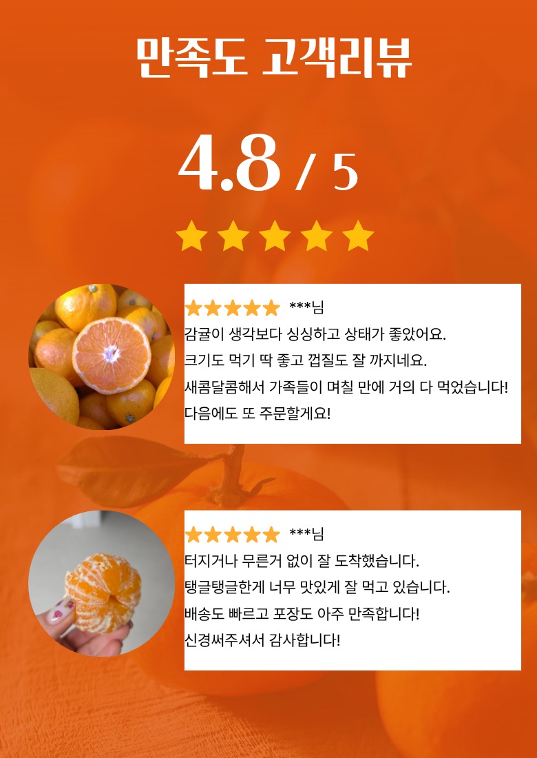 제주 서귀포 감귤 소과 10kg, 한 박스 구매 전 확인할 기준 4