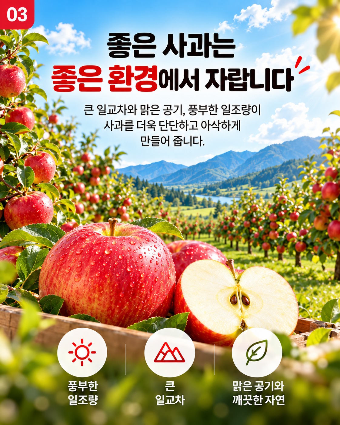 경북 햇 홍로사과 소과 2kg 한 박스, 처음 사보는 분을 위해 꼼꼼하게 정리해 드려요 4