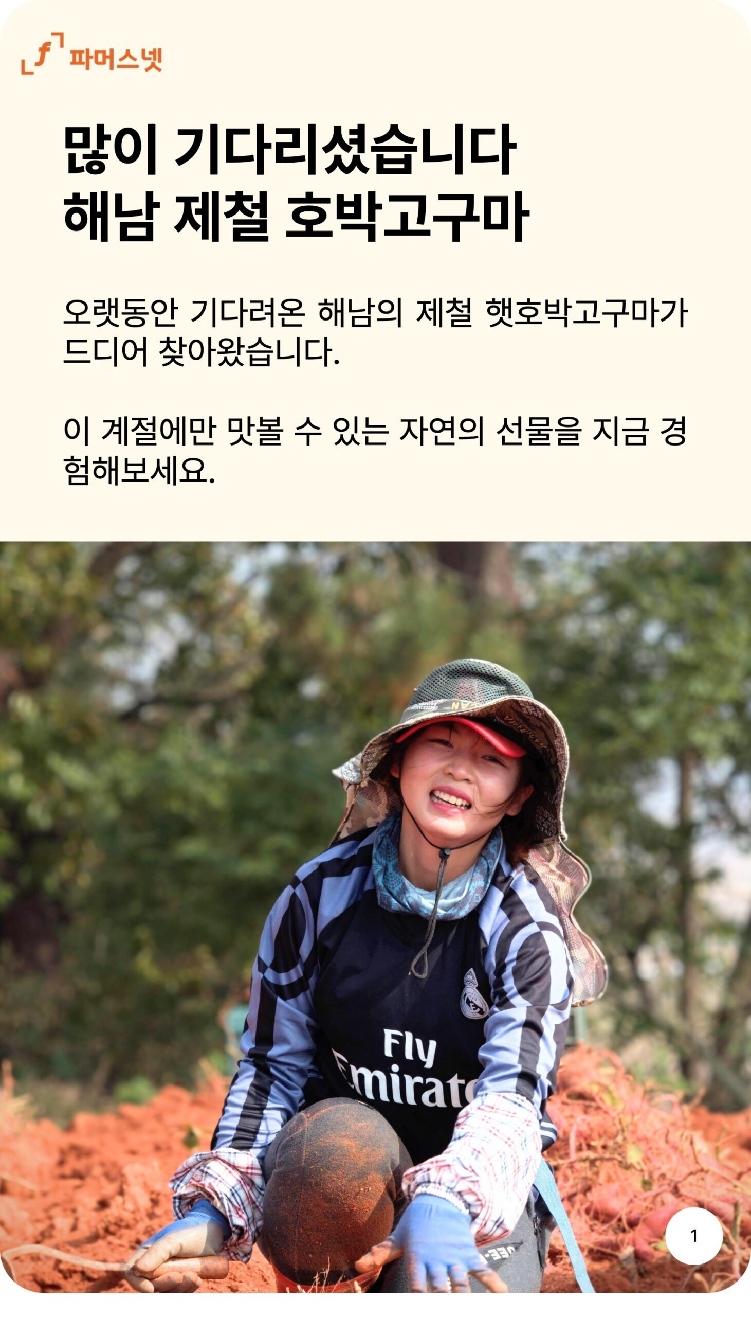 파머스넷 호박고구마 한입 5kg 구매 전 확인해야 할 3가지 기준 3